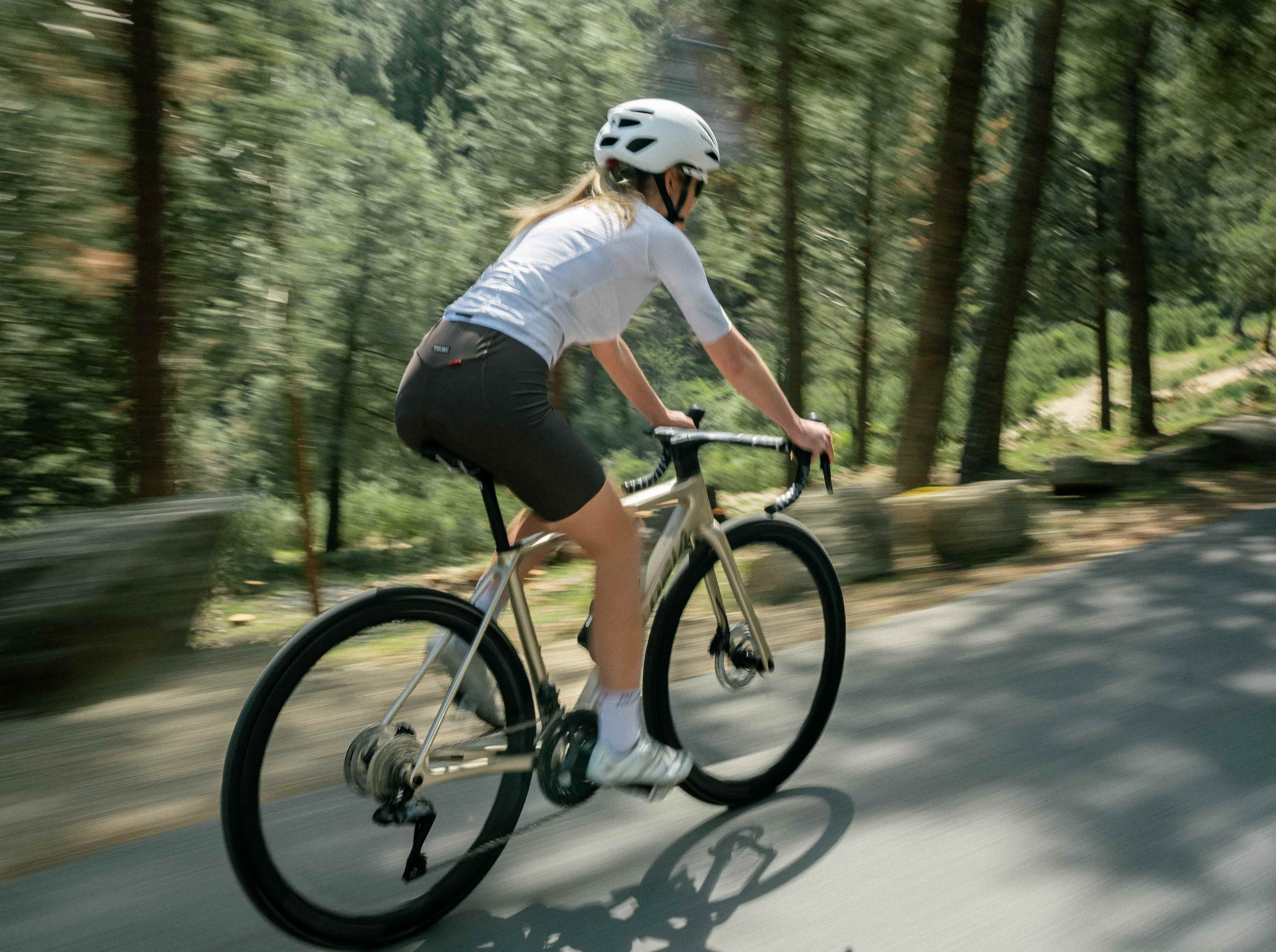 Presentamos la Endurance SL 02